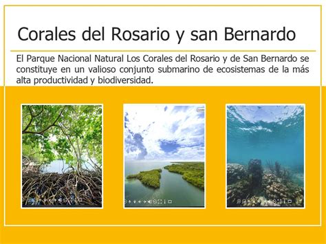 Visita a un parque ecológico Durante el recorrido