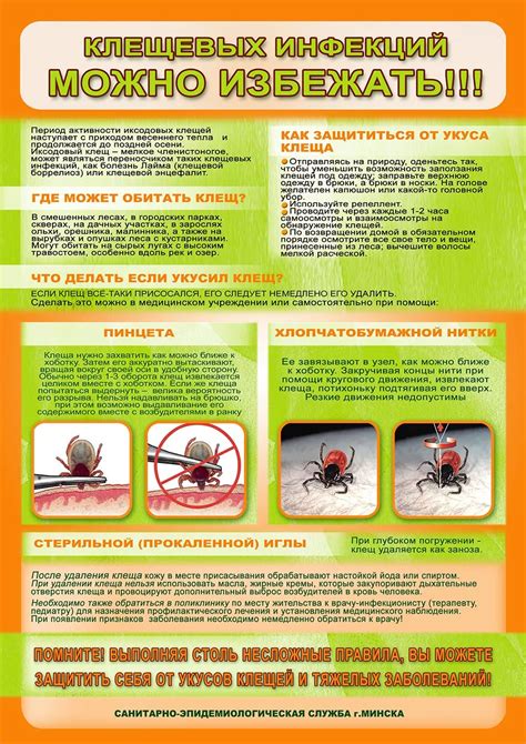 Укус клеща у человека Фото #137816 | Укусил клещ. Что делать? Куда ...