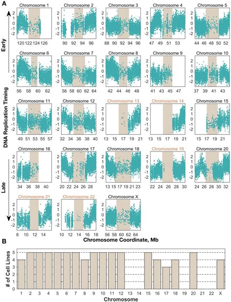 Genes Free Full Text Next Generation Sequencing Enables