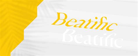 Beatific \ Blissfully Happy. /ˌbēəˈtifik/ – beatific