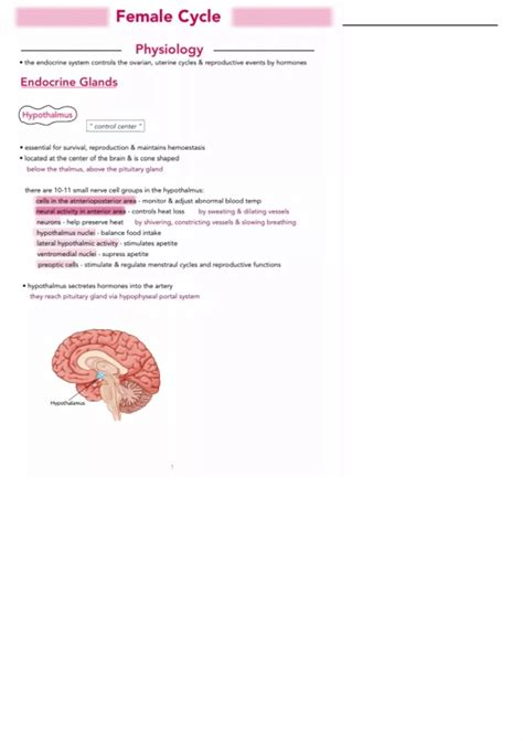 Summary Female Cycle Obgyn Ultrasound Dms Stuvia Us