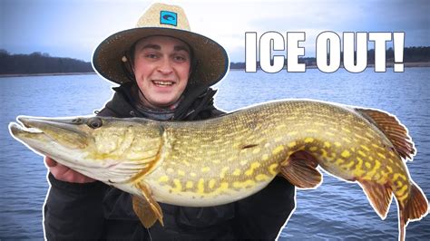 Early Spring Pike Fishing With Lures Crazy Start Of Youtube