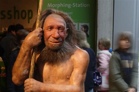 Yes Humans And Neanderthals Had Sex And They Gave Us An Std Vox