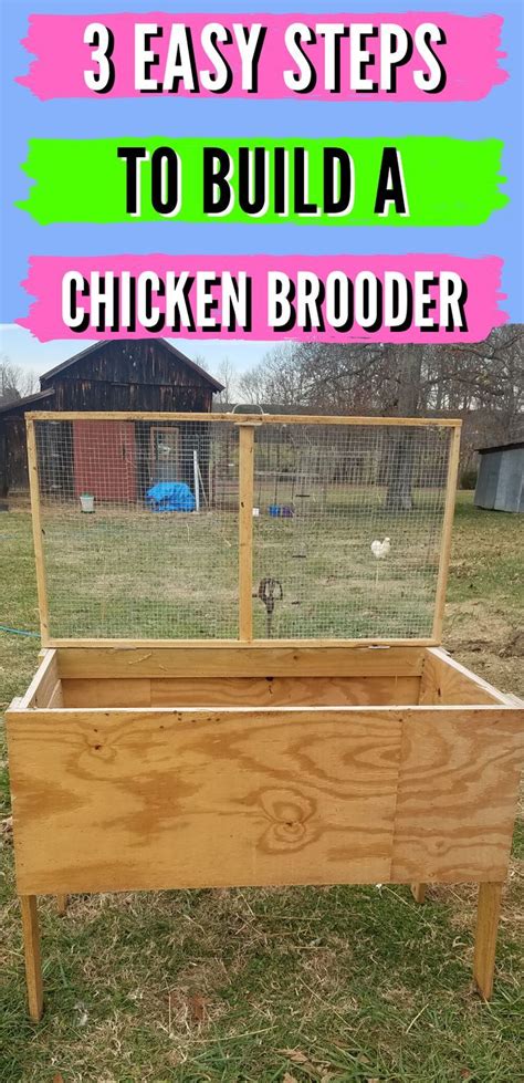 Chicken brooder easy free diy chicken brooder plans – Artofit