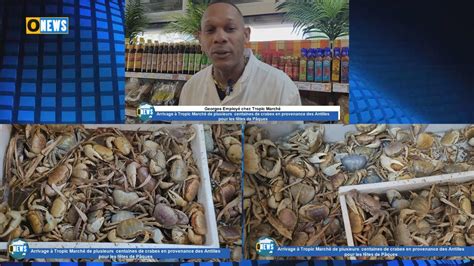 Arrivage à Tropic Marché de plusieurs centaines de crabes des Antilles