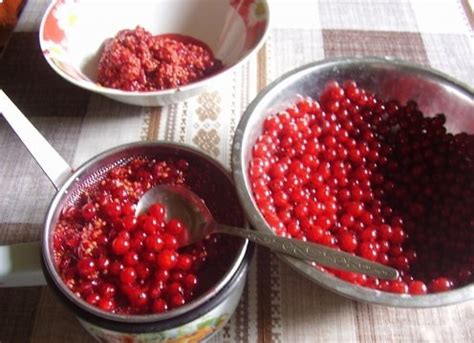 Мармелад из ягод - пошаговый рецепт с фото на Повар.ру