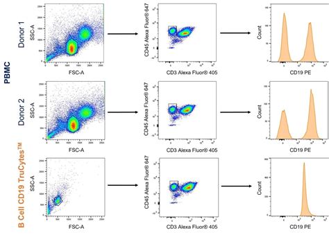 Human B Cell CD19 Flow Panel FMC P 003 Bio Techne