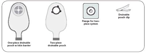 Ileostomy Types | American Cancer Society