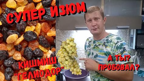 Изюм в электросушилке | Кишмиш Гелиодор - YouTube