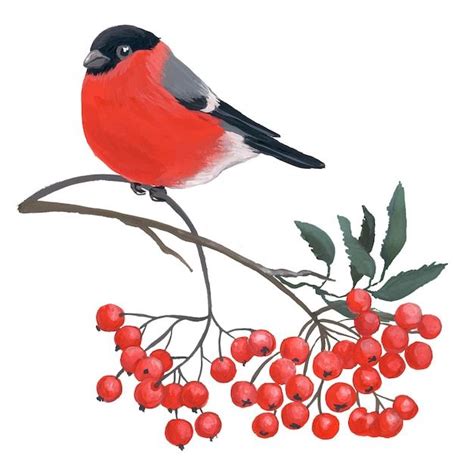 Снегирь на рябине. Рождественская открытка