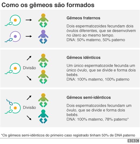 Os Gêmeos São Geneticamente Diferentes Dos Progenitores - Raríssimo nascimento de gêmeos semi-idênticos é registrado na Austrália ...