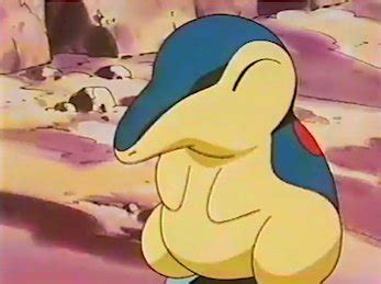 xvt ㅇㅅㅂㅌ on Twitter RT Cyndaquilism 𝗽𝗼𝗹𝗶𝘁𝗲