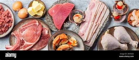 Selection food for CARNIVORE DIET. Seafood, Meat, megs and fat. Zero ...