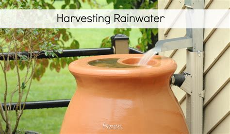 Harvesting Rainwater