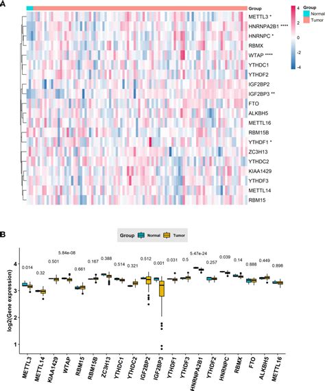 Frontiers Comprehensive Analysis Of Pd L1 Expression Immune