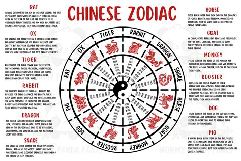 Chinese Zodiac Poster With Years and Characteristics - Etsy