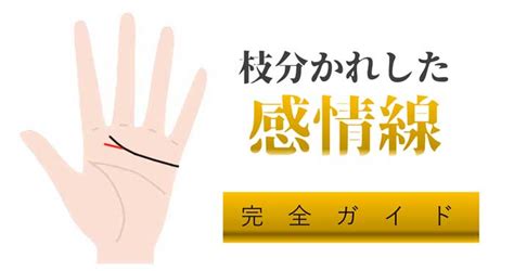 感情線が枝分かれしている手相【二股・複数本】 Zired 手相 本 運気