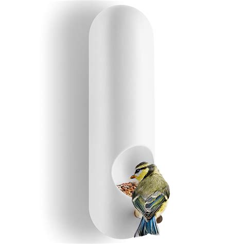 Bespoke Home - Ostrich Egg Bird Feeder