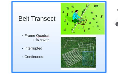 Belt Transect by Mark Lavery on Prezi