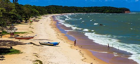 Ilha de Marajó: Onde fica, Como ir, Hospedagem e Roteiros!