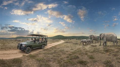 Shamwari Private Game Reserve Tailormade South Africa Safaris