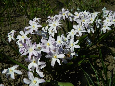 ВСЕВКУЧУ_NAVALOM