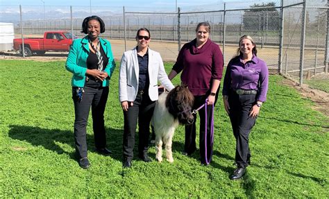 Preview Of Cdcr Cchcs Training Inside Cdcr