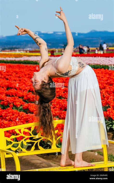 Long Haired Brunette Bending Over Backwards On Bench In Front Of Tulip Field Stock Photo Alamy