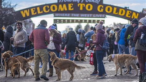 Thousands Of Golden Retrievers Gather In Golden Colorado