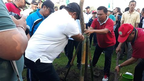 90 Pohon Plamboyan Ditanam Di Bantaran Tukad Pancing Denpasar Begini