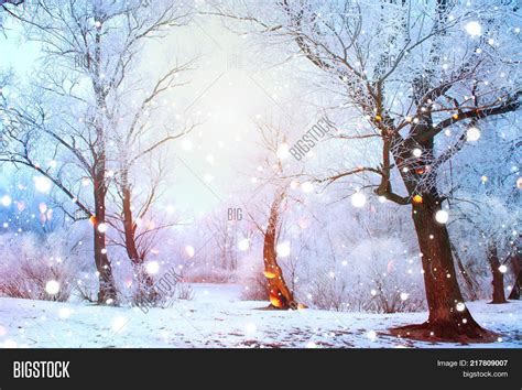 Beautiful Winter Image & Photo (Free Trial) | Bigstock