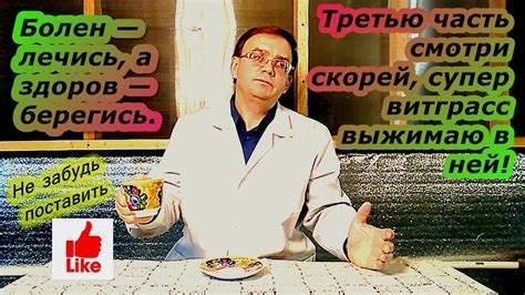 Производство витграсс часть 3 - YouTube