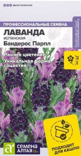 Лаванда Бандерос Парпл испанская (Семена Алтая) НОВИНКА купить с ...