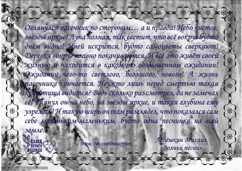 🔔Сказка Бурого Медведя Михаила... - Сказки Бурого Медведя