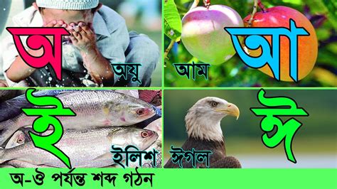 অ আ ই II অ আ ই দয শবদ গঠন II বল বরণমল শকষ II Bengali