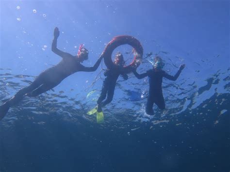 Desde Kos Crucero De Snorkel Por La Isla De Pserimos En Barco De Buceo