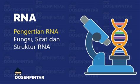 terbaru rna  pengertiantipe fungsi  struktur