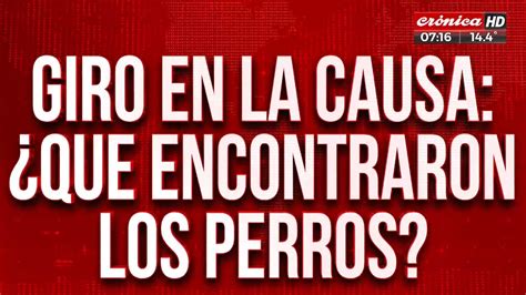 Ingeniero Asesinado En Palermo Inesperado Giro En La Causa V Deo