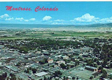 Vintage Continental Size Postcard Aerial View Of S Montrose