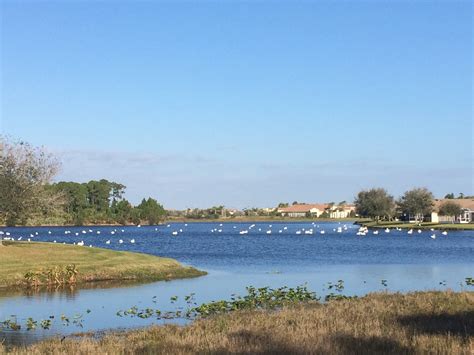 melbourne florida home for sale 7