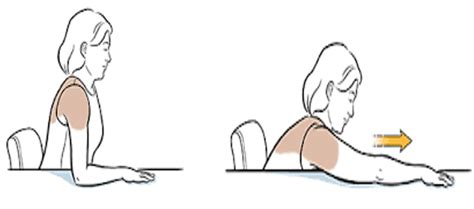 Shoulder Bursitis Exercises Reflex Health