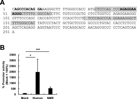 Characterization Of An Active LINE In The Naked Mole Rat Genome PMC
