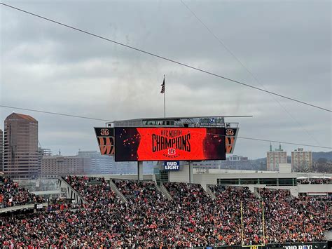 AFC North Champs : r/bengals