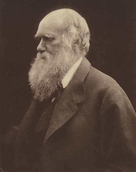 Portrait Of Charles Darwin By Julia Margaret Cameron