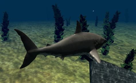 Shark Games 🕹️ Play Now for Free at CrazyGames!