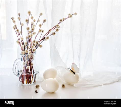 Easter Greeting Card Fluffy Pussy Willow Branches In A Transparent