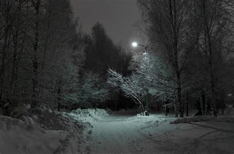 Winter Wonderland A Snowy Path In The Woods At Night