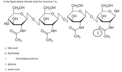 Solved In the figure below indicate what the monomer I is. | Chegg.com