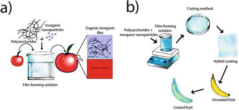 Edible Coating Intechopen