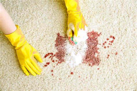 Cleaning and Blood Cleanup | Solution Decontamination